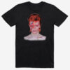 | T-Shirts / Hoodies | TS021 | David Bowie | Alladin Sane |